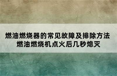 燃油燃烧器的常见故障及排除方法 燃油燃烧机点火后几秒熄灭